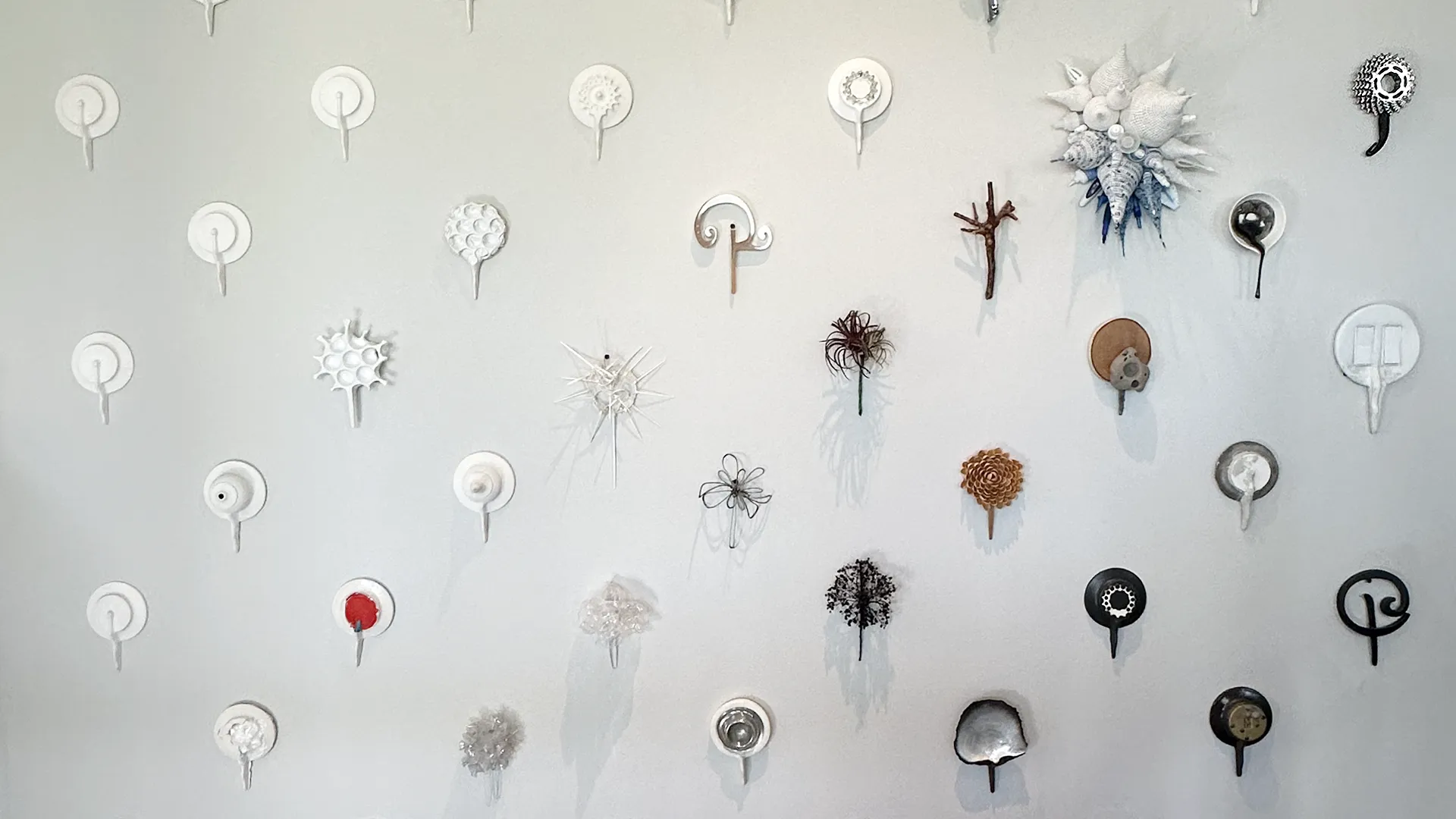 Walkabout installation