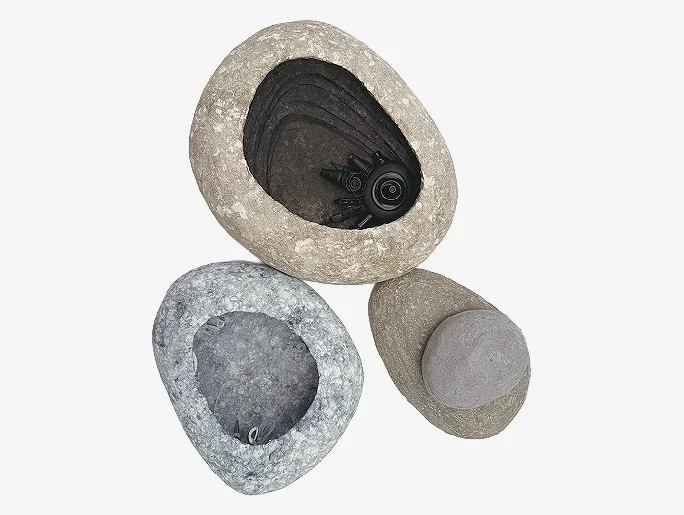 Pholadidae sculpture